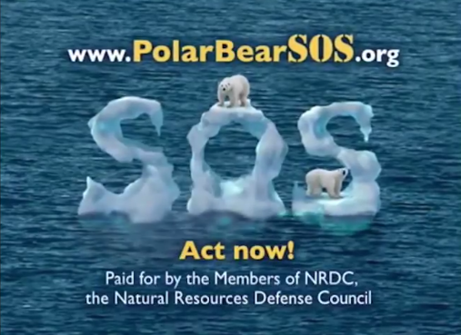 sos-osos-polares