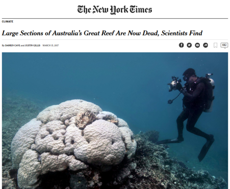 gran-barrera-de-coral-muerto